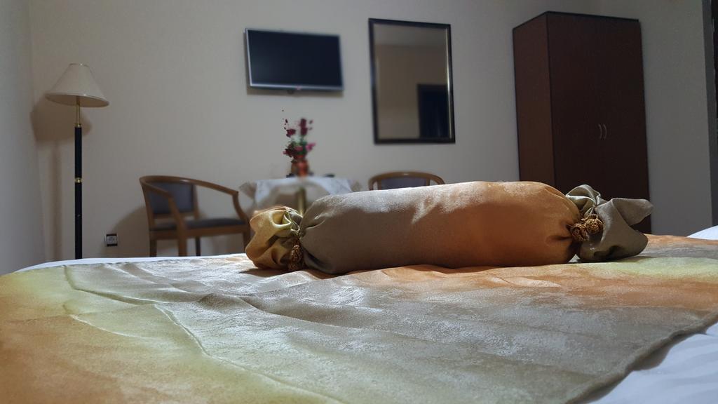 카사 알렉스 호텔 Târgu Jiu 객실 사진